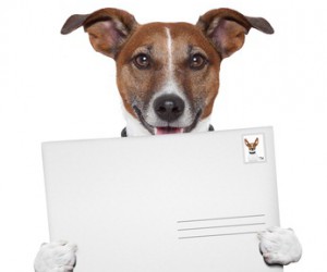 Email marketing