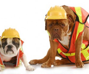 Workers